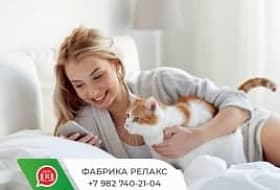 Связаться с нами стало еще проще! Теперь мы в WhatsApp!